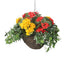 Artificial Red and Yellow Begonia Display in a 10" Round Willow Hanging Basket